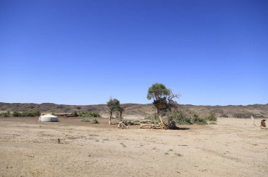Gobi Çölü, Moğolistan 'daki vaha ıssız. Yüksek kalite fotoğraf
