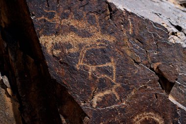 Gobi Petroglifleri, Bichigtiin Am sitesi, Moğolistan. Yüksek kalite fotoğraf