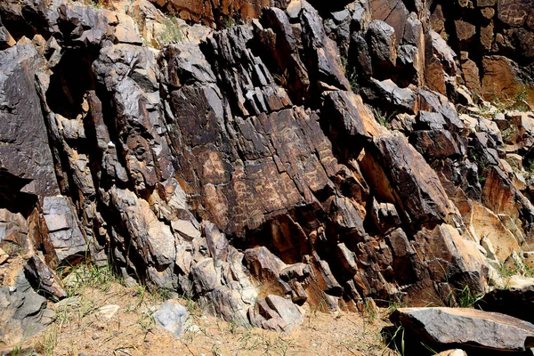 Gobi Petroglifi Sito Bichigtiin Mongolia Foto Alta Qualità — Foto Stock