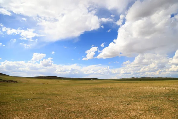 Fascinující Mongolská Stepi Svou Oblohou Kvalitní Fotografie — Stock fotografie