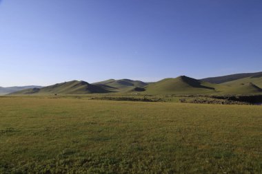 Moğolistan, Orkhon Vadisi 'nin güzel manzarası. Yüksek kalite fotoğraf