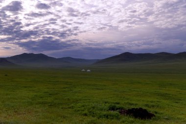 Ulaanbaatar yakınlarındaki Moğol bozkırında. Yüksek kalite fotoğraf