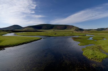 Tsenkher, Moğolistan 'ın yemyeşil vadisi. Yüksek kalite fotoğraf