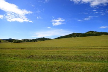 Yazın yeşil Moğol bozkırının manzarası. Yüksek kalite fotoğraf