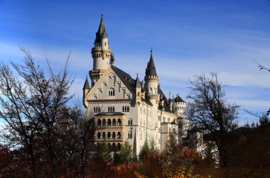 Neuschwanstein Kalesi sonbahar renklerine gömüldü. Yüksek kalite fotoğraf