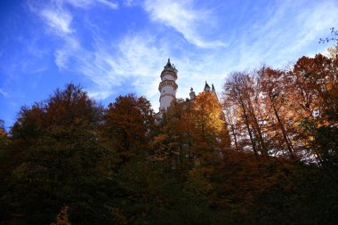 Neuschwanstein Kalesi sonbahar renklerine gömüldü. Yüksek kalite fotoğraf