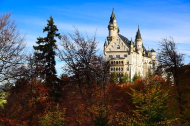 Neuschwanstein Kalesi sonbahar renklerine gömüldü. Yüksek kalite fotoğraf