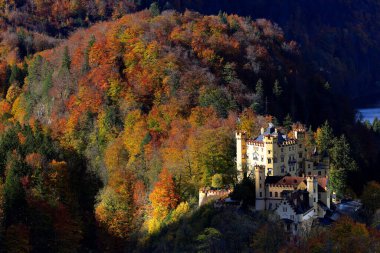 Hohenschwangau Kalesi sonbahar renklerine gömüldü. Yüksek kalite fotoğraf
