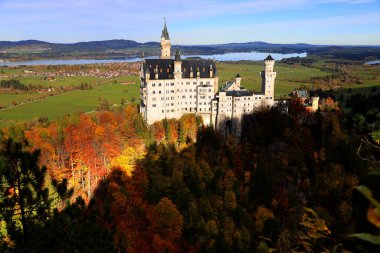 Neuschwanstein Kalesi sonbahar renklerine gömüldü. Yüksek kalite fotoğraf