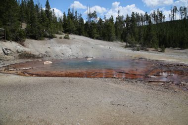 Yellowstone Ulusal Parkı 'nda sıcak havuz. Yüksek kalite fotoğraf