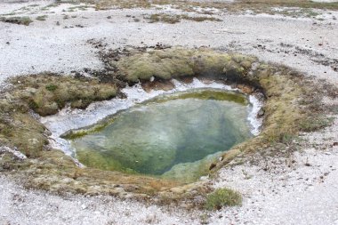 Yellowstone Ulusal Parkı 'nda sıcak havuz. Yüksek kalite fotoğraf