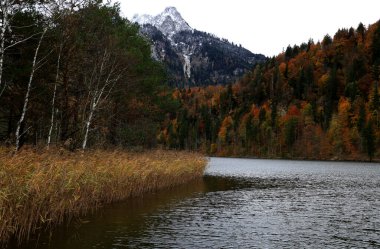 Bavyera 'da sonbaharın resmi. Yüksek kalite fotoğraf