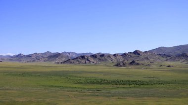 Yazın yeşil Moğol bozkırları. Yüksek kalite fotoğraf