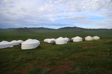Yeşil Moğolistan 'daki Ger kampı. Yüksek kalite fotoğraf