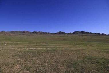 Yazın yeşil Moğol bozkırları. Yüksek kalite fotoğraf