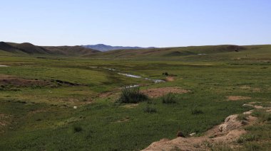 Yazın yeşil Moğol bozkırları. Yüksek kalite fotoğraf
