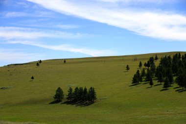 Moğolistan 'daki Tsenkher Vadisi. Yüksek kalite fotoğraf