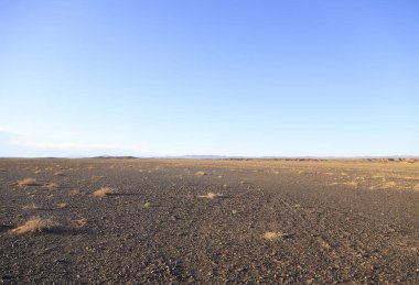 Güzel Moğol manzarası manzarası. Yüksek kalite fotoğraf