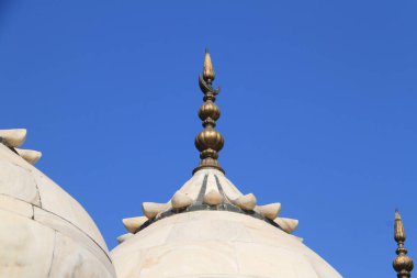 Hindistan 'ın Agra kentindeki Kızıl Kale kompleksindeki Moti Mescidi veya İnci Camii' nin ayrıntıları. Yüksek kalite fotoğraf