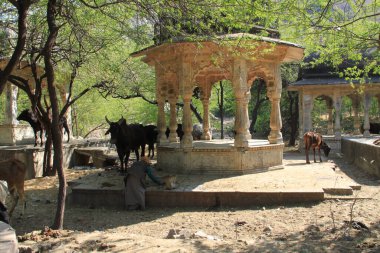 JAIPUR, Rajasthan 'daki Parshuram BAORI. Yüksek kalite fotoğraf