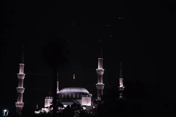 stock image View of the Blue Mosque at night in Istanbul. High quality photo