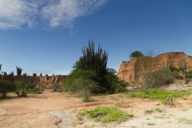 Kolombiya Tatacoa Çölü manzarası. Yüksek kalite fotoğraf