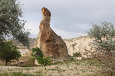 Rock formations in the Rose Valley in Cappadocia, Turkey. High quality photo clipart