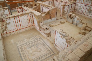 Türkiye 'nin Efes kentinin antik evlerinin süsleri. Yüksek kalite fotoğraf