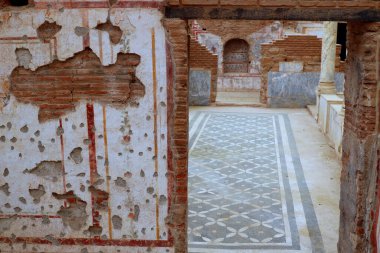 Türkiye 'nin Efes kentinin antik evlerinin süsleri. Yüksek kalite fotoğraf