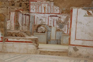 Türkiye 'nin Efes kentinin antik evlerinin süsleri. Yüksek kalite fotoğraf