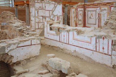 Türkiye 'nin Efes kentinin antik evlerinin süsleri. Yüksek kalite fotoğraf