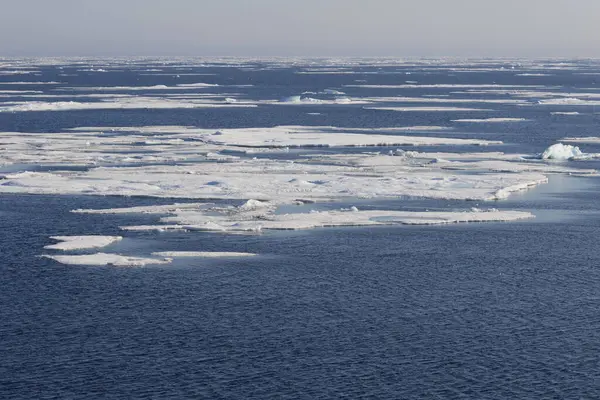 Svalbard takımadası yakınlarında kutup buzu. Yüksek kalite fotoğraf