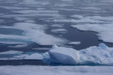 Svalbard takımadası yakınlarında kutup buzu. Yüksek kalite fotoğraf