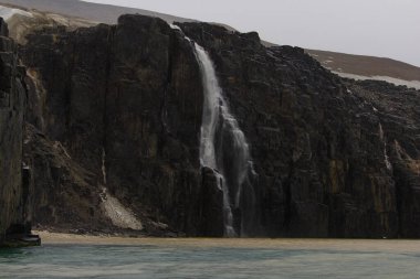 Spitsbergen 'deki Ny-Friesland' daki Lomfjordhalvoya 'daki Alkefjellet uçurumunda. Yüksek kalite fotoğraf