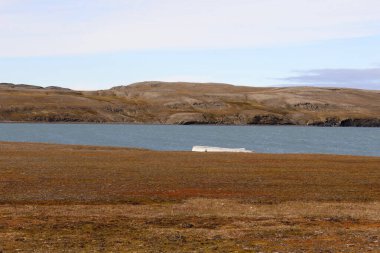 Svalbard 'daki Bamsebu diyarında manzara. Yüksek kalite fotoğraf