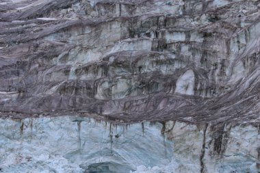 Svalbard Adaları 'ndaki Alkefjellet kayalıklarının yakınındaki muhteşem buzullar. Yüksek kalite fotoğraf