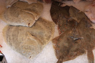 Norveç, Bergen 'deki pazarda satılık balık. Yüksek kalite fotoğraf