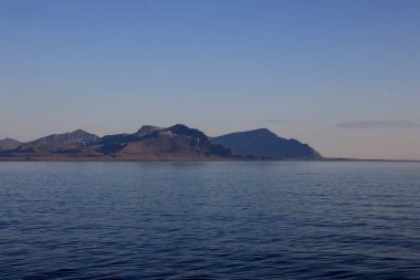 Svalbard 'daki Krossfjorden manzarası. Yüksek kalite fotoğraf