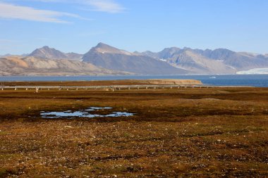Ny Alesund, Svalbard, Kuzey Kutbu 'na açılan kapı. Yüksek kalite fotoğraf