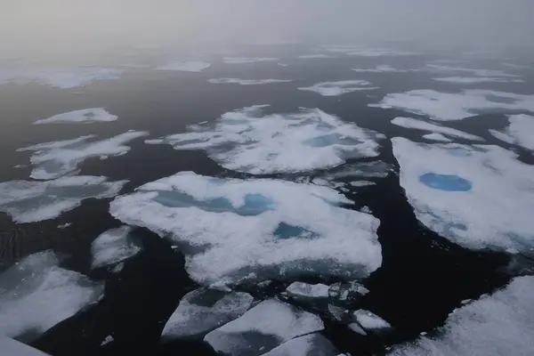 Kuzey Kutup Sürüsü 'nde Buz Taşıma. Yüksek kalite fotoğraf