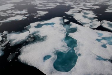 Svalbard 'ın kuzeyine buz koyun. Yüksek kalite fotoğraf