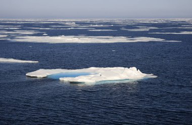 Svalbard 'ın kuzeyine buz koyun. Yüksek kalite fotoğraf