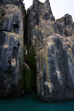 Muhteşem Alkefjellet kayalıkları, gulyabaniler, dolerit sütunlar, Svalbard. Yüksek kalite fotoğraf