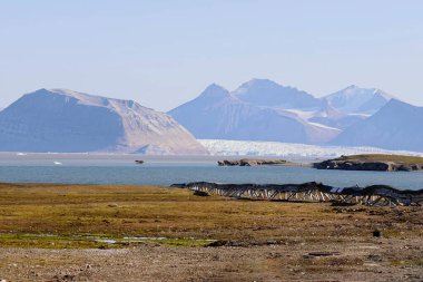 Svalbard Adaları 'nın karakteristik manzarası. Yüksek kalite fotoğraf