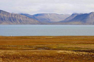 Svalbard 'daki Bamsebu diyarında manzara. Yüksek kalite fotoğraf