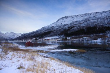 Norveç 'teki Katt Fjord' un dar duvarları. Yüksek kalite fotoğraf