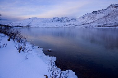 Norveç 'teki Kvaloya Adası' nda manzara. Yüksek kalite fotoğraf