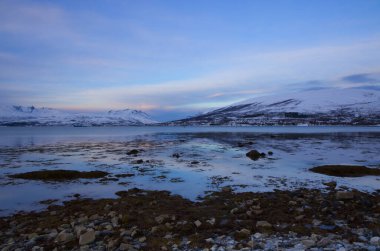 Tromso, Norveç 'teki fiyort manzarası. Yüksek kalite fotoğraf