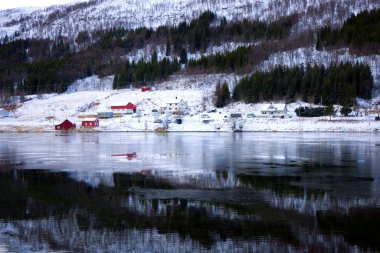 Norveç 'teki Katt Fjord' un dar duvarları. Yüksek kalite fotoğraf