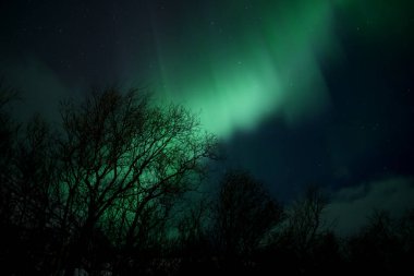 Tromso, Norveç 'te Kuzey Işıklarının Büyüsü. Yüksek kalite fotoğraf